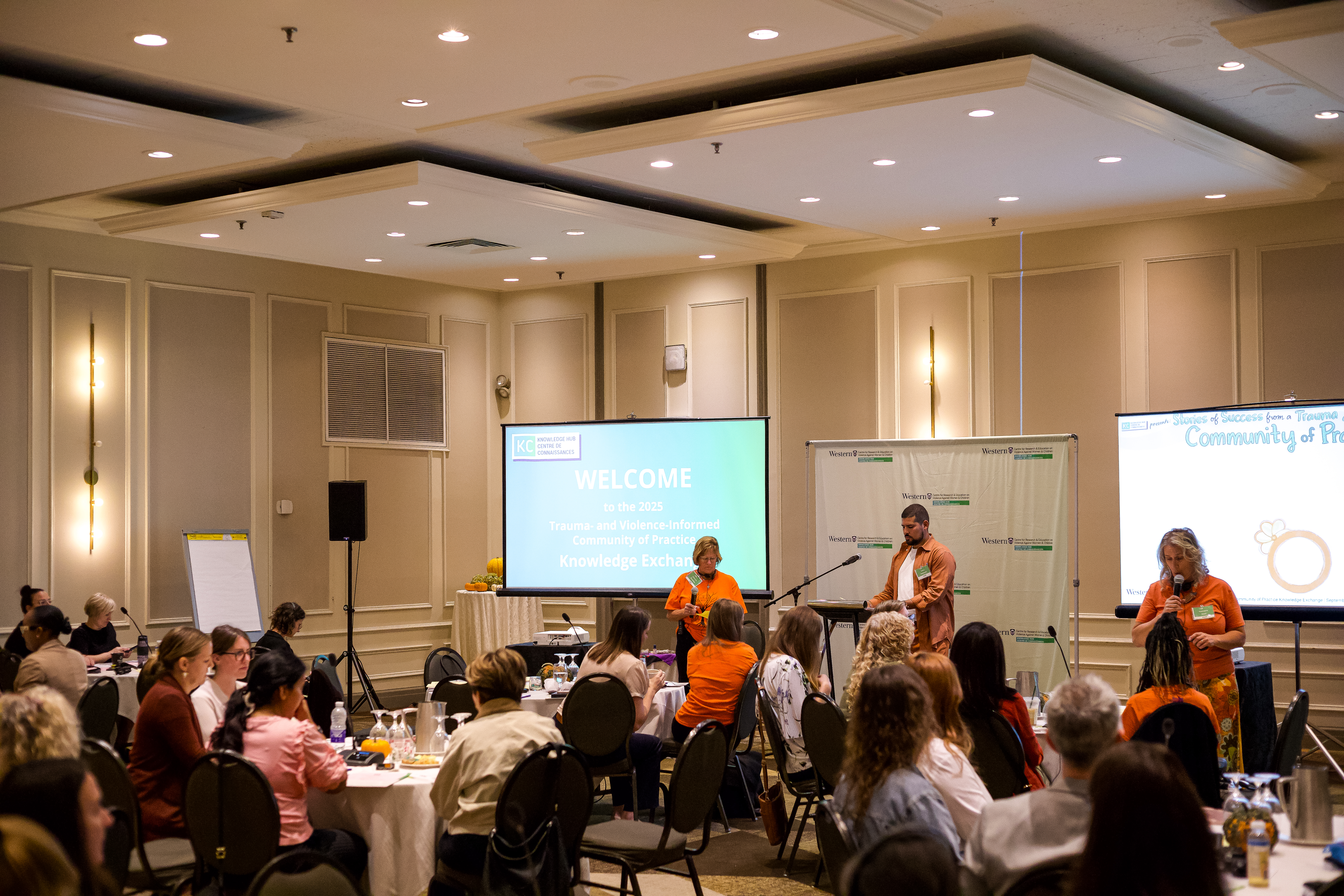 knowledge exchange.jpg